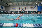 Swim vs Bentley  Wheaton College Swimming & Diving vs Bentley University. - Photo by Keith Nordstrom : Wheaton, Swimming & Diving